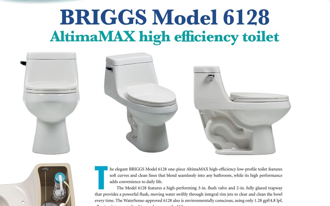 BRIGGS Model 6128 High Efficiency Toilet